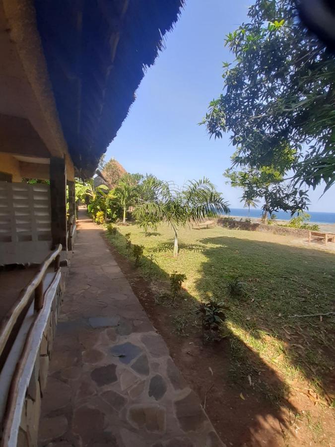 Mango Lodge Msambweni Kisimachande Exterior photo