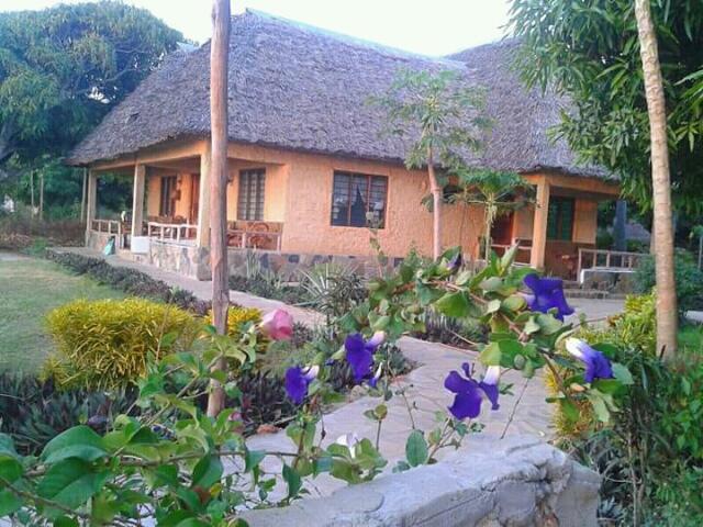 Mango Lodge Msambweni Kisimachande Exterior photo